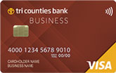 Visa Business Credit Card