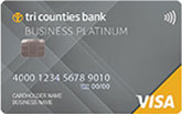 Visa Business Platinum Credit Card